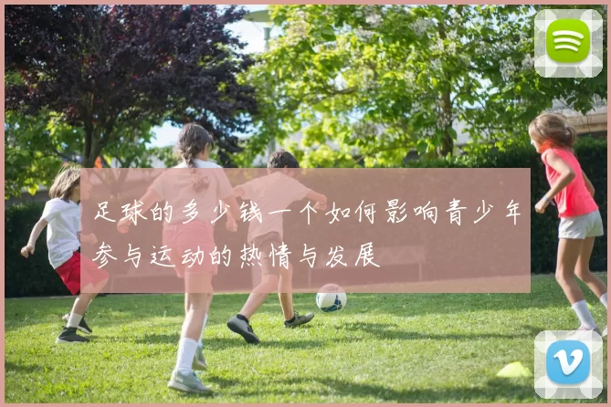 足球的多少钱一个如何影响青少年参与运动的热情与发展