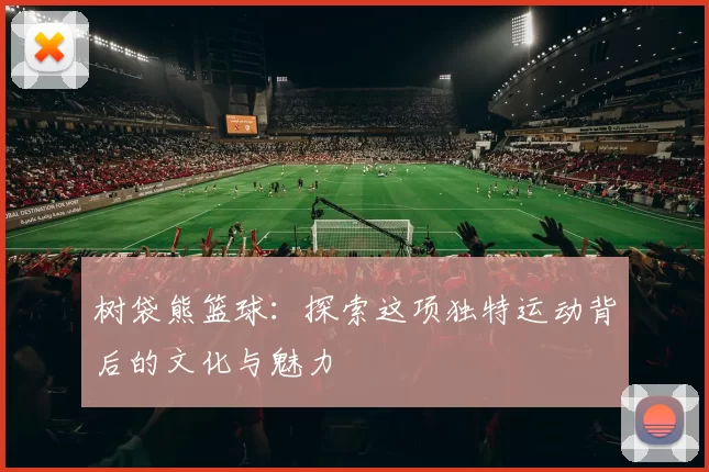 树袋熊篮球：探索这项独特运动背后的文化与魅力